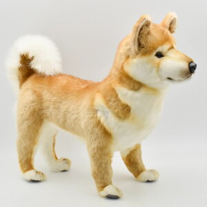 HANSA 6345 VoP48 Č SF48cm DOGSHIBA STANDING BH6345  ʂ nT NX}X a v[g   L   yM Aj} u l` tBMA KOESEN P[Z 