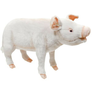 HANSA 6347 u^63 SF63cm PIG STANDING BH6347 ʂ nT  NX}X a v[g   L   yM Aj} u l` tBMA KOESEN P[Z 傫 }XRbg
