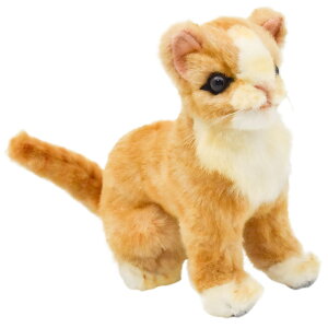 HANSA 6489 lR(R)@x[W16 SF16cm KITTEN BE BH6489 ʂ nT qL NX}X a v[g   L   yM Aj} u l` tBMA KOESEN P[Z 