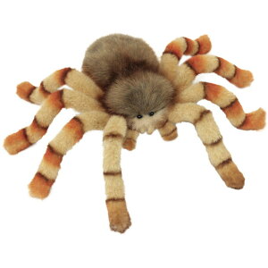 HANSA BH6556 nGgO 29 JUMPING SPIDER   A w N XpC_[ ʂ nT a v[g   L   yM Aj} u l` tBMA 傫 }X