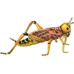 HANSA BH6569 ob^ 27 GRASSHOPPER   A OXzbp[ ʂ nT a v[g   L   yM Aj} u l` tBMA 傫 }XRbg  