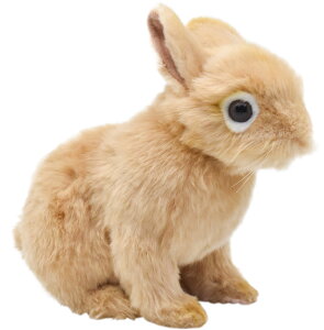 HANSA 7022 lU[hEh[t21 SF21cm BUNNY BH7022 ʂ nT ETM e NX}X a v[g   L   yM Aj} u l` tBMA KOESEN P[