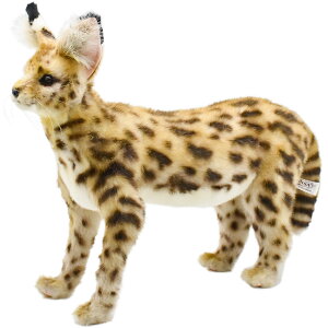 HANSA T[oLbg 48 L48(cm) 7372 AFRICAN SERVAL CAT STANDING ʂ nT NX}X a v[g   L   yM Aj} u l` tBMA KOESEN P[Z 傫