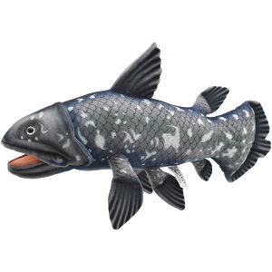 HANSA BH7720 V[JX 50 COELACANTH [C Ñ㋛  A ʂ nT a v[g   L   yM Aj} u l` tBMA 傫 }XRbg  