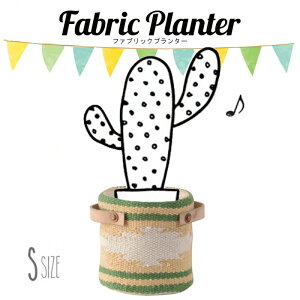 t@ubNv^[ TTZ-521BE x[W v^[ Jo[ STCY W15×D15×H16cm Aؔ  ϗtA T{e A fR[V