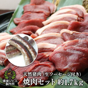  VR o[xL[ ēp Zbg Jr500gE[X500gE[X500g v1.5kg+Iׂ鐶\[Z[Wi190gjt qlɂHׂ₷_炩 LRY 