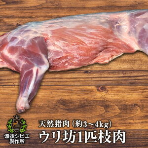  VR EV } 3~4kgO }2{ LY n ̂ CmVV RH VRH ڂ O {^ ō WrG  lC Zbg  