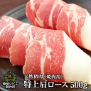 送料無料 天然猪 焼肉用 特上肩ロース肉 500g お子様にも食べやすい柔らかさ 広島県福山産 猪肉 いのしし肉 イノシシ…