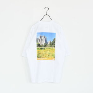 �ySALE 20��OFF�zTHE NORTH FACE�i�U�E�m�[�X�E�t�F�C�X�j/S/S YOSEMITE SCENERY TEE �V���[�g�X���[�u���Z�~�e�V�[�i���[�e�B�[�i���j�Z�b�N�X�j�y�ԕi�����s�z/NT32436