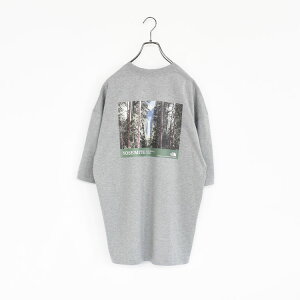 �ySALE 30��OFF�zTHE NORTH FACE�i�U�E�m�[�X�E�t�F�C�X�j/S/S YOSEMITE SCENERY TEE �V���[�g�X���[�u���Z�~�e�V�[�i���[�e�B�[�i���j�Z�b�N�X�j�y�ԕi�����s�z/NT32436