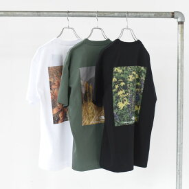 【SALE 20％OFF】THE NORTH FACE（ザ・ノース・フェイス）/ショートスリーブフラッシュドライピクセルプラントコットンティー【返品交換不可】/NT32549