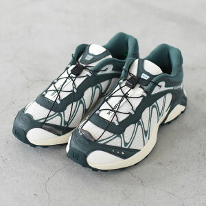 SALOMON�i�T�������j/XT-WHISPER/L49114500�y2026�t�āz