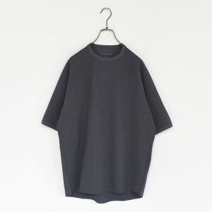 GOLDWIN�i�S�[���h�E�B���j/Waffle Light T-shirt ���b�t�����C�g�e�B�[�V���c/GL65143�y2026�t�āz