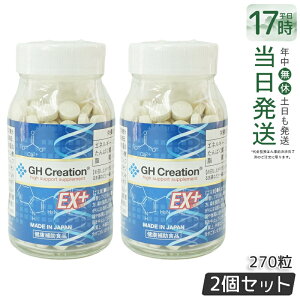 �y2�Z�b�g�z�������K�i GH Creation �W�[�G�C�` �N���G�[�V���� EX �v���X ���j���[�A�� 300mg 270�� ���{�� �g�����N�⏕�T�v�������g �ܖ�����2028�N8�� GH Creation EX++ �g���T�v�� ���N�H�i ��g��