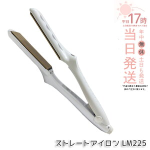 �y�ۏ�1�N�t���z���� �L�k�[�W�� KINUJO �X�g���[�g�w�A�A�C���� �z���C�g LM225 �w�A�A�C���� �_���[�W�P�A 220�� �v���d�l �V���N�v���[�g ���Z �c���� ���˂�΍� ���x���� ���� ���� ���e�� 