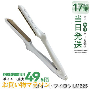 �y�ۏ�1�N�t���z���� �L�k�[�W�� KINUJO �X�g���[�g�w�A�A�C���� �z���C�g LM225 �w�A�A�C���� �_���[�W�P�A 220�� �v���d�l �V���N�v���[�g ���Z �c���� ���˂�΍� ���x���� ���� ���� ���e�� 