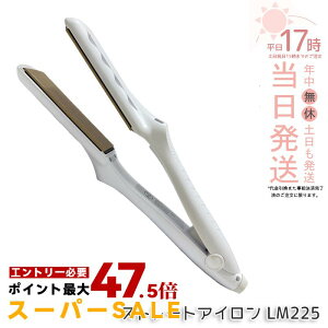 �y�ۏ�1�N�t���z���� �L�k�[�W�� KINUJO �X�g���[�g�w�A�A�C���� �z���C�g LM225 �w�A�A�C���� �_���[�W�P�A 220�� �v���d�l �V���N�v���[�g ���Z �c���� ���˂�΍� ���x���� ���� ���� ���e�� 