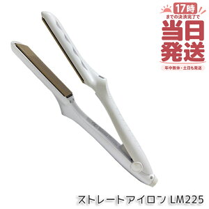 �y�ۏ�1�N�t���z���� �L�k�[�W�� KINUJO �X�g���[�g�w�A�A�C���� �z���C�g LM225 �w�A�A�C���� �_���[�W�P�A 220�� �v���d�l �V���N�v���[�g ���Z �c���� ���˂�΍� ���x���� ���� ���� ���e�� 