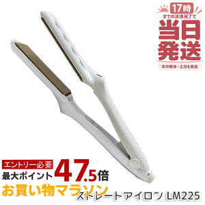 �y�ۏ�1�N�t���z���� �L�k�[�W�� KINUJO �X�g���[�g�w�A�A�C���� �z���C�g LM225 �w�A�A�C���� �_���[�W�P�A 220�� �v���d�l �V���N�v���[�g ���Z �c���� ���˂�΍� ���x���� ���� ���� ���e�� 
