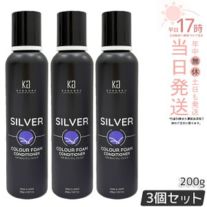 �y3�Z�b�g�zKyogoku �V���o�[�J���[�t�H�[���R���f�B�V���i�[ 200g �t�H�[���^�C�v �Y�_ ���Z�x�Y�_ �J���[�R���f�B�V���i�[ �A�^�C�v �� �J���[�g���[�g�����g �A �����P�A �J���[�P�A �w�A