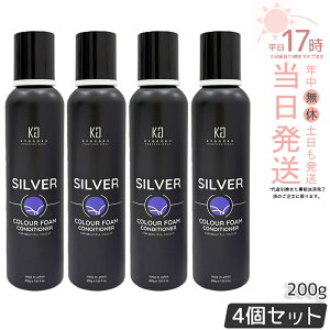 �y4�Z�b�g�zKyogoku �V���o�[�J���[�t�H�[���R���f�B�V���i�[ 200g �t�H�[���^�C�v �Y�_ ���Z�x�Y�_ �J���[�R���f�B�V���i�[ �A�^�C�v �� �J���[�g���[�g�����g �A �����P�A �J���[�P�A �w�A