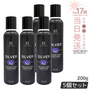 Kyogoku �V���o�[�J���[�t�H�[���R���f�B�V���i�[ 200g �t�H�[���^�C�v �Y�_ ���Z�x�Y�_ �J���[�R���f�B�V���i�[ �A�^�C�v �� �J���[�g���[�g�����g �A �����P�A �J���[�P�A �w�A�J���[ �_���[