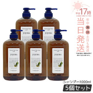 �y2�Z�b�g�zLebel ���x�� �i�`�������w�A�\�[�v �E�B�Y �z�z�o 1000ml ���x�� �V�����v�[ �E�B�Y JO �w�A�V�����v�[ �� ���� �w�A�P�A ���� �� �_���[�W�P�A ���e �m���V���R�� �ӂ��� �A���R