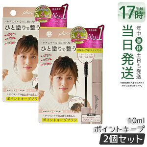 �y2�Z�b�g�zplus eau �v�����X�I�[ �|�C���g�L�[�v�u���V 10ml �A�z�уX�e�B�b�N �X�^�C�����O�� �O���̗��� ������т̂܂Ƃ� �t���[�e�B�[���t���[�����̍��� �����߂̃u���V �L�[�v�u��