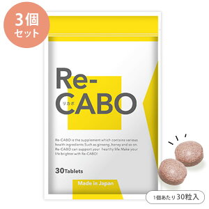 Re-CABO J{ 3Zbg i30×3j 1ō2946~ Tv _CGbgT|[g Hi ܃^Cv   WZ }kJnj[ T|[g Tvgy[֑z