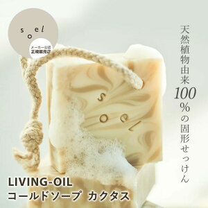 y3%OFFN[|zyK̔Xzsoel LIVING-OIL R[h\[v JN^X  Ō` VRR100% 邨 Ԃ q  soel \G rOIC