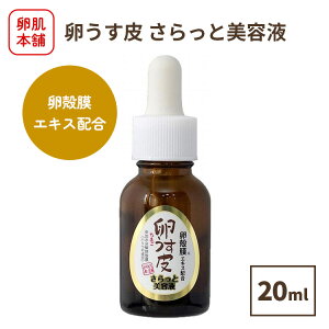  { Ɣet 20ml ACEv_Nc et k 񂩂܂ veIOJ III^R[Q VX` ێ  ܂   ܂͂ 