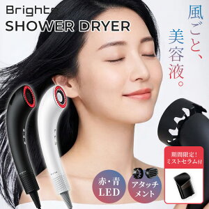 �y�~�X�g�Z�������܂��t�zBrighte SHOWER DRYER �V�����[�h���C���[ BRT-SD173 �u���C�g �h���C���[ ���� �啗�� �w�A�h���C���[ �~�X�g�h���C���[ �V�����[�h���C���[ �A�^�b�`�����g LED �i�m���~