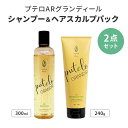 2点セット プテロ AR グランディール シャンプー300ml＋ヘア＆スカルプパック240g スカルプシャンプー ヘアトリートメント ヘアケア スカルプケア 頭皮 地肌 ドライ 乾燥 オイリー サロン専売品 putelo AR GRANDIR【コ便】