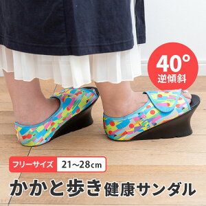 ƕNT_ ׂ׃V[Y t[TCY 21`28cm  ƕ  ӂ͂  r ₦ g[jO NT_ NV[Y T_ p DOOG {