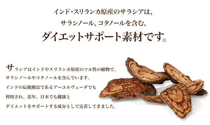 楽天市場】ヴェーダヴィ サラシア＆ジンジャーブレンド30袋2個