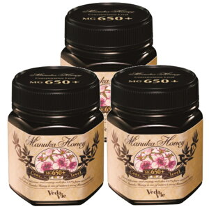 }kJnj[ MG650+ 3Zbg F[_B@KX vedavie j[W[hY i 100%  }kJ ʂȖI I[KjbN Y yf ݂͂ n`~c }kJ݂͂ 250g Mt