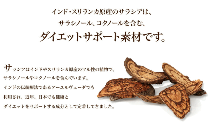 楽天市場】ヴェーダヴィ サラシア＆ジンジャーブレンド30袋2個