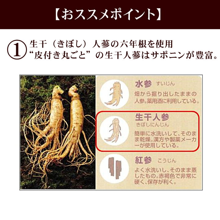 楽天市場】一和高麗人参ジンスト人蔘濃縮茶(発酵エキス10%配合)100g 