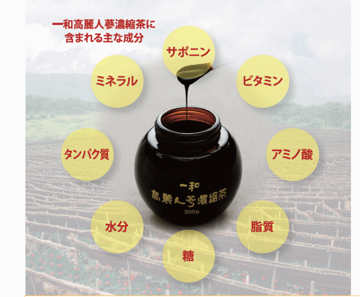 楽天市場】一和高麗人蔘濃縮液300g【国内正規品】人参エキス 6 楽天市場】一和高麗人蔘濃縮液300g【国内正規品】人参エキス 6