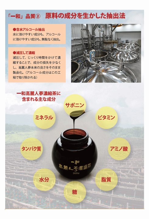 楽天市場】一和高麗人蔘濃縮液300g【国内正規品】人参エキス 6 楽天市場】一和高麗人蔘濃縮液300g【国内正規品】人参エキス 6