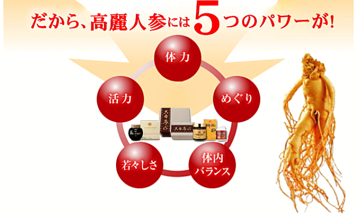 楽天市場】【楽天スーパーセール ポイント10倍】高麗人参 さえる高麗