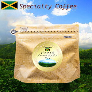 yubNtCf[x|CgAbv10{zW}CJEu[}Ee 100gycoffeezR[q[ Mtg 蕨 Ε  p