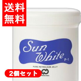 【2個セット】日興リカ　サンホワイト P-1 ボトル 400g