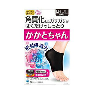 璆goĂ̔ƂȂ܂ijy[/zѐ@Ƃ@M|L@i1j