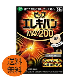 【メール便/送料無料】ピップエレキバン　MAX200（24粒）