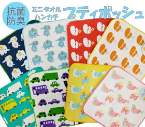 y[ցzShinzi KatohwveB|bVx~j^InJ` 18×18cm RۖhL K[[ Q K[[nJ` |Pbg q ۈ牀  Aj} ̂ { B^Iy2܂