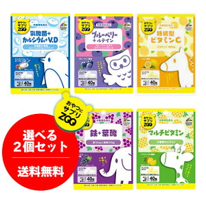 y[/zIׂ2ZbgɃTvZOO40×2