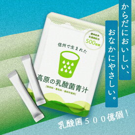 《送料無料》信州で生まれた、高原の乳酸菌　青汁【100%国産材料使用】3g×20包入り大麦若葉 還元麦芽糖 桑の葉 発酵黒ハチミツ 乳酸菌 植物性乳酸菌 健康 木曽 すんき漬け 国産 おいしい 溶けやすい アレルギー すっきり 免疫
