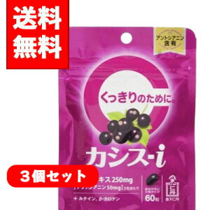 �y���[����/���������z3�Z�b�g�X���m�O �J�V�X-i�@60��×3�y�h�{�@�\�H�i�z