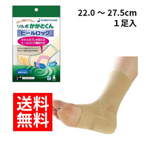 ylR|X/z\{ Ƃ q[bN 1SORBO STCY LTCY